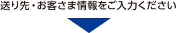 送り先・お客さま情報をご入力ください