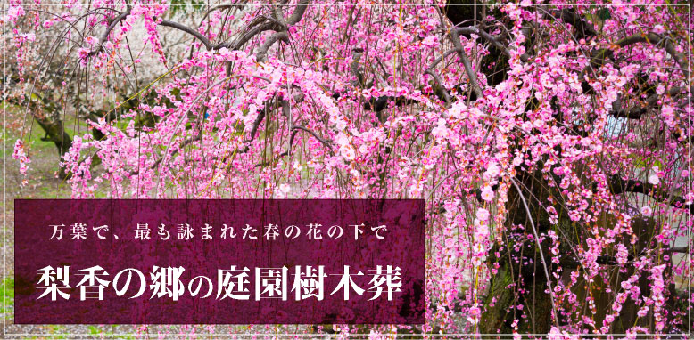 万葉で、最も詠まれた春の花の下で　梨香の郷の庭園樹木葬